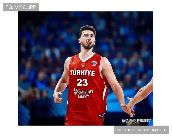 申京与亚历山大并列关键扳平球榜首 展现大心脏